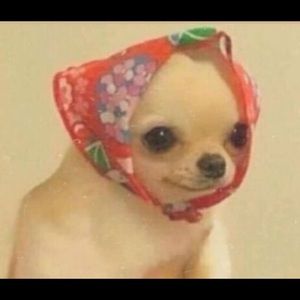 Meet your Posher, Diego